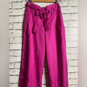 Ann Taylor High Waist, Cropped Wide Leg Pants. Size 6, waist tide, in Hot Pink.